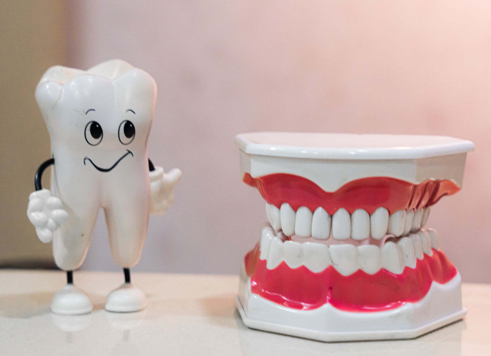 Friendly tooth mascot beside a dental teeth model